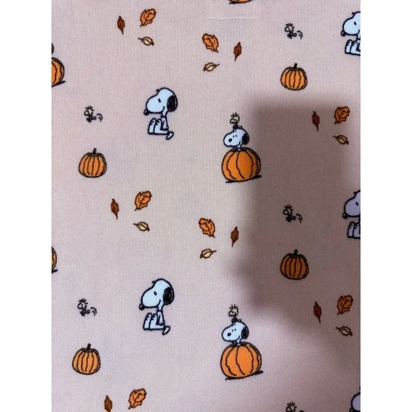 American Eagle Peanuts Fall Pumpkin Snoopy Plush Pajama Set Women's Size Large - Picture 13 of 16